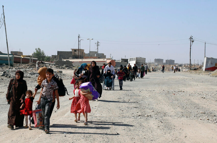  600,000 Displaced Families Return Home in Iraq